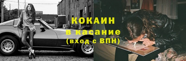 гидра Володарск