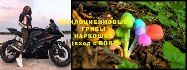 гидра Володарск